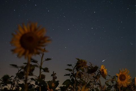 Tatarstan, venemaa 12. august 2016 vaade päikeseloojangult põgenevale meteooriduššile yegor aleyevtass foto autor: yegor aleyev \ tass getty images kaudu