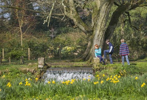 Lapsed, kes mängivad kevadel aias kevadel Mottisfontis, Hampshire'is © National Trust Images James Dobson