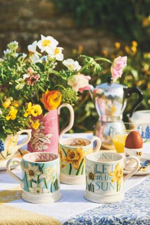 emma bridgewater kevadkollektsioon