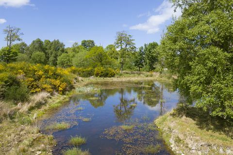 Müüa roosa loss aberdeenshire'is