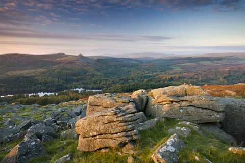 Vaated Sheeps Torilt Dartmooril