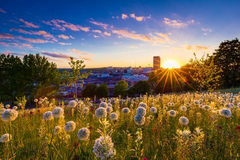 Päike loojub Sheffieldi linna silueti kohal