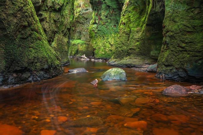 Veripunane jõgi rohelises kurus. Devil's Pulpit, Finnich Glen, Killearni lähedal, Šotimaa, Ühendkuningriik