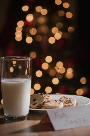 klaas piima ja taldrik küpsiseid jõuluvana jaoks
