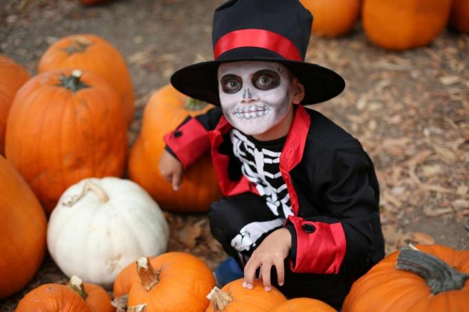 halloweeni lapsed mängivad trikki või maiust halloweeni kostüümis, mütsiga luukere ja suitavad oranžide kõrvitsate vahel halloweeni lapsed