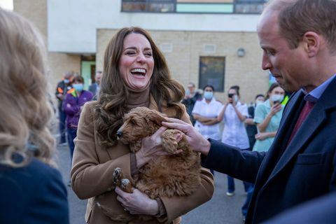 Cambridge'i hertsoginna cockapoo kutsikaga