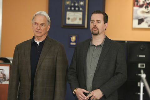 ncis mark harmon sean murray