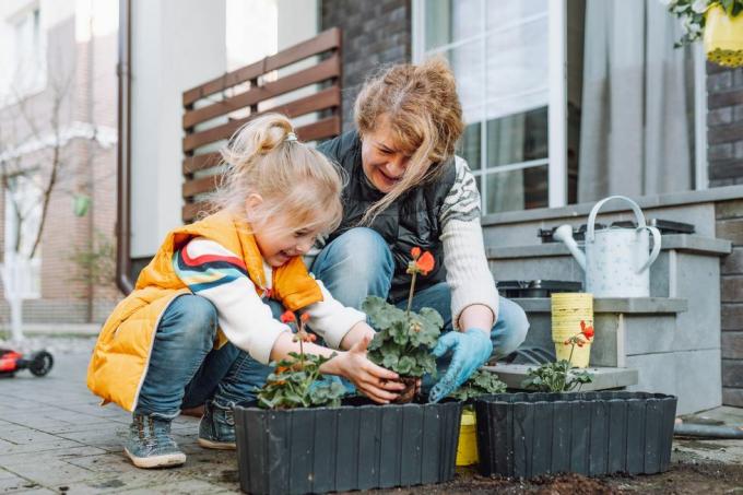 vanaema väikese lapselapsega kevadel lilli potis verandale