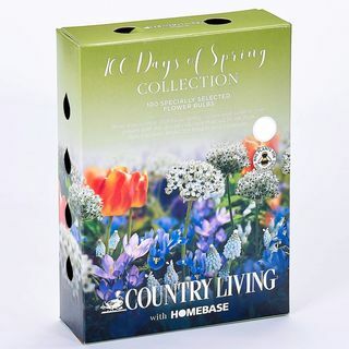 Country Living 100 Days of Spring Lillesibulate kollektsioon