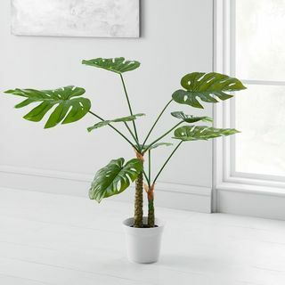 Monstera kunstpotitaim