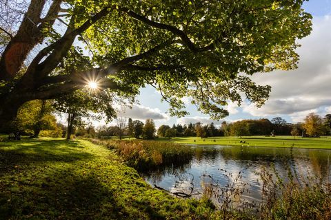 lydiard park on 260 aakri suurune maapark Swindoni lääneservas, kus on palladiaanide maja, kirik ja müüriga ümbritsetud aed. ajaloolise mõisa territooriumil, mida hooldab kohalik volikogu kui avatud ruumi, kuhu pääsevad tasuta elanikud ja külastajad, swindon