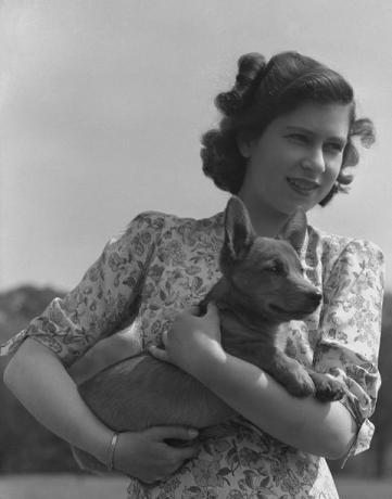 printsess Elizabeth kuninganna Elizabeth ii pildil Corgit hoidmas Windsori lossi territooriumil, Berkshire, Suurbritannia, 30. mai 1944 foto autor lisa sheridanstudio lisahulton archivegetty images