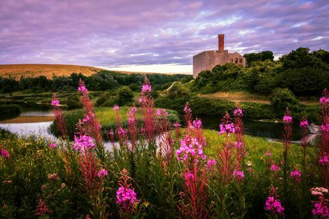 Aberthaw looduskaitseala, Barry, Wales