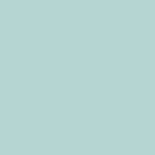 Dulux Mint Macaroon Matt emulsioon