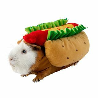 Hot dogi kostüüm