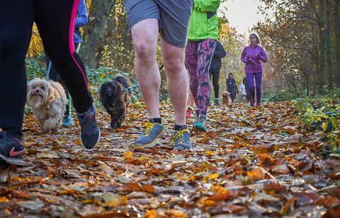 <p> Kui te juba ei jookse, tehke 2018. aasta algavaks aastaks. Ja mis oleks veel parem viis, kui registreeruda pidevalt kasvava arvu a <re href = " http://www.parkrun.org.uk/">parkrun</a> sündmused? Praegu toimub kogu riigis nädalavahetusel 682 pargipunkti, millest võtab igal nädalal osa umbes 130 000 inimest - see on 33 000 rohkem kui eelmisel aastal - ja tulevasi üritusi on rohkem. </p> <p> <strong data-redactor-tag = "strong"> Te vajate: </strong> <br> </p> <p> <span class = "redactor-invisible-space"> Lihtsalt hea paar jooksujalatseid ja sobiv riietus. Osalemine on tasuta (registreeruge lihtsalt veebis eelnevalt) ja sobib kõigi võimete jaoks - algajad saavad lihtsalt paar rahulikult kella keerata kilomeetrit. </span> </p> <p> <strong data-redactor-tag = "strong"> Mis on teie lähedal? </strong> <br> </p> <p> Iga parkrun on seadistatud ilusatesse seadetesse, nii et maastik kui ka toetavad rahvahulgad julgustavad teid edasi. Külastage saiti <a href = " http://www.parkrun.org.uk/" target = "_blank" data-tracking-id = "recirc-text-link"> parkruni veebisait </a> teie lähedal asuvate sündmuste jaoks. </p>