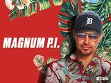 Magnum P. I., 1. hooaeg