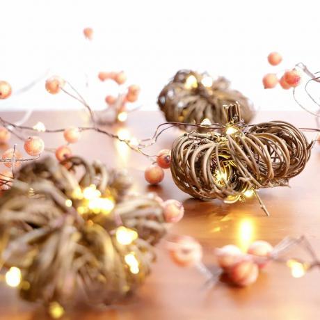 Rattan Berry Pumpkin String Lights