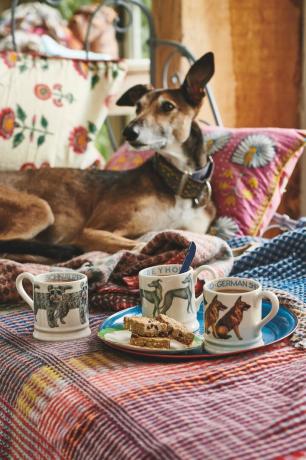 emma bridgewater kevadkollektsioon