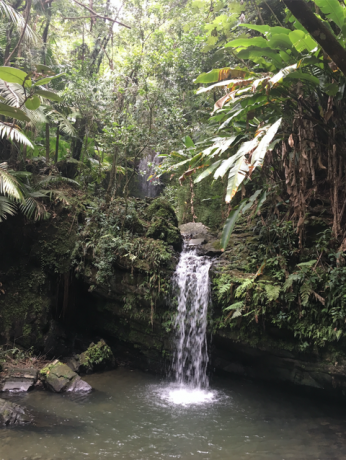 El Yunque juga ujumisauk