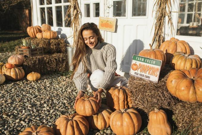 naine kõrvitsafarmis lõikuspeol