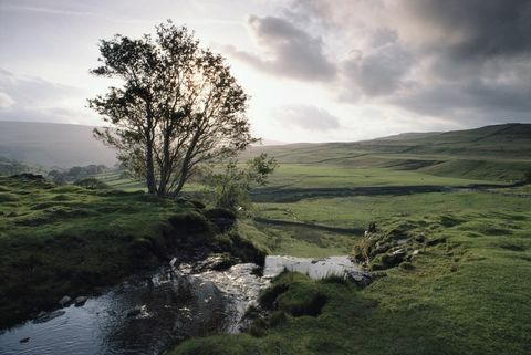 yorkshire dales