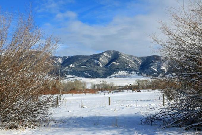 talvine vaade Bridgeri mägedele, nähtuna Bozeman Montanast foto autor: don ja melinda crawforducguniversal images group Getty Images kaudu