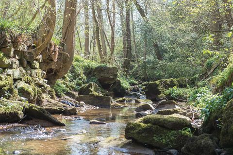 Müüa suvila Põhja-Yorkshire'is