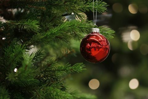 65 parimat jõulupulka aasta kõige sodisema aja jaoks