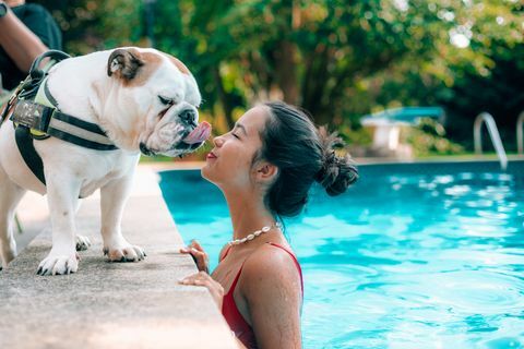tüdruk, kes suudleb basseinis koera