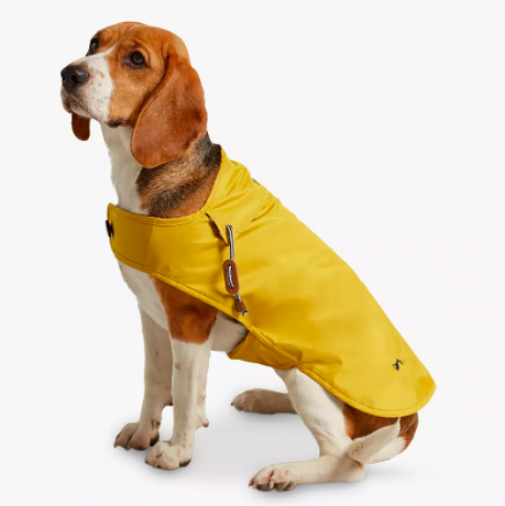 Joules Sinep Dog vihmamantel