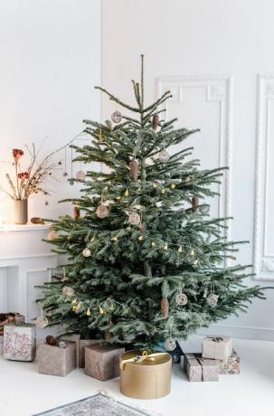 kaunistatud jõulupuu