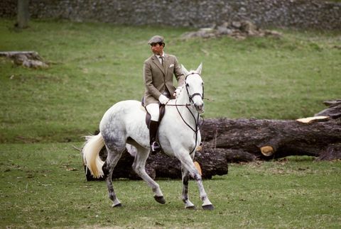 Inglismaa ratsutamine prints Charles, Walesi prints