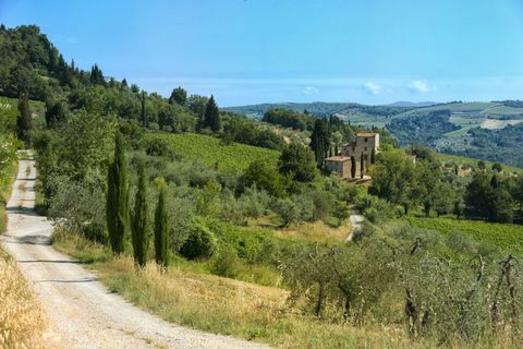 Michelangelo - Toscana - villa - maa-ala - Handsome Properties International