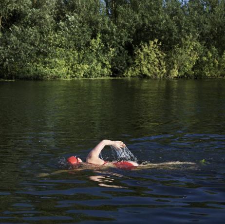 Ühendkuningriik, Bedfordshire, suurepärane barford, suur ouse jõgi, naissoost metsik ujuja ujumas jões