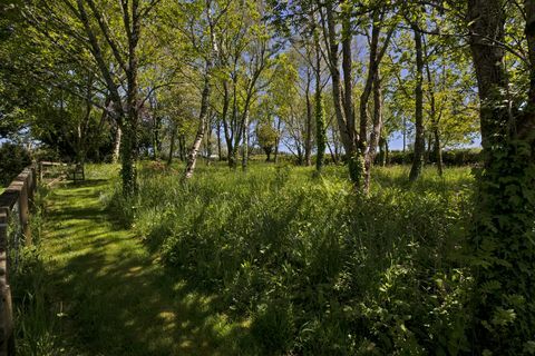 Müüa ajalooline suvila Dartmoori rahvuspargis