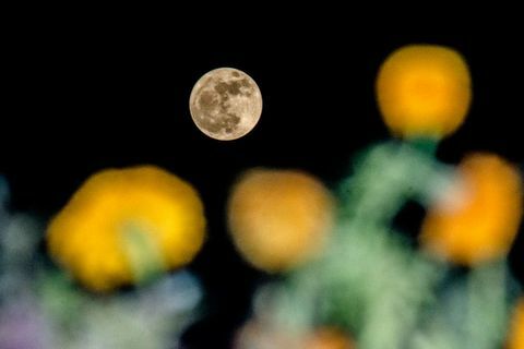 Supermoon India