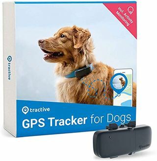 Tõmbav GPS-jälgija koertele