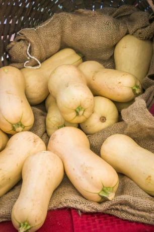 neeme tursakasvatajate turul on korvis värske butternut squash