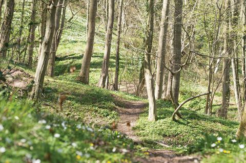 Müüa suvila Põhja-Yorkshire'is