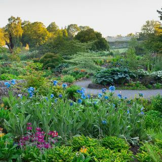 RHS ühine liikmelisus