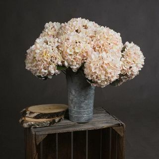 Sügisene valge hortensia lill (3 tk)
