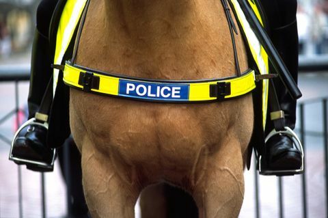 Politseinik istub pruunil hobusel