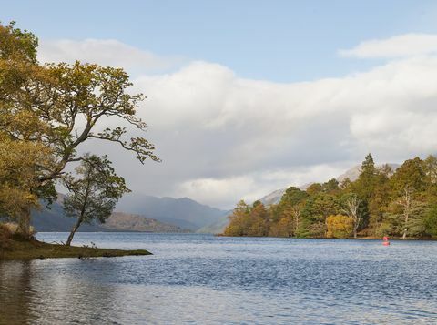 Müüa on umbes 103 aakri suurune saar, mis asub Lõuna-Loch lomond'i läänekalda lähedal