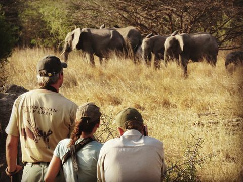 Reisijad Suurel Serengeti traaversil 